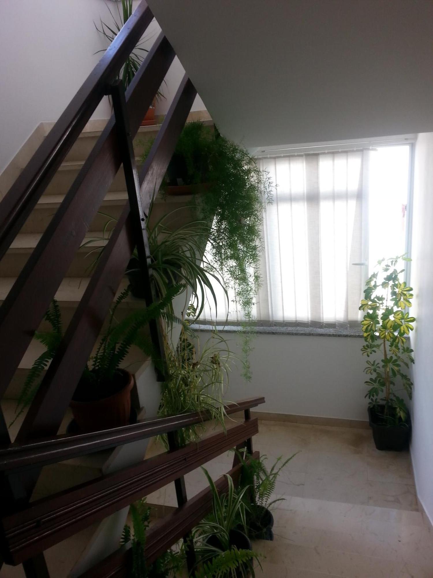 Apartments Roncevic زادار المظهر الخارجي الصورة