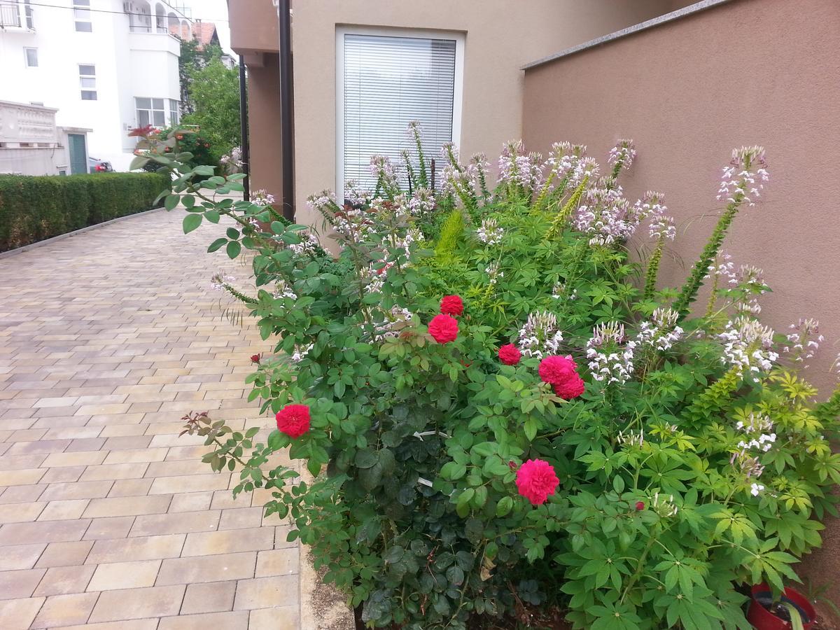 Apartments Roncevic زادار المظهر الخارجي الصورة